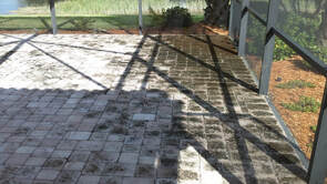 Black mold on pavers inside of screened-in lanai in Fort Myers, FL