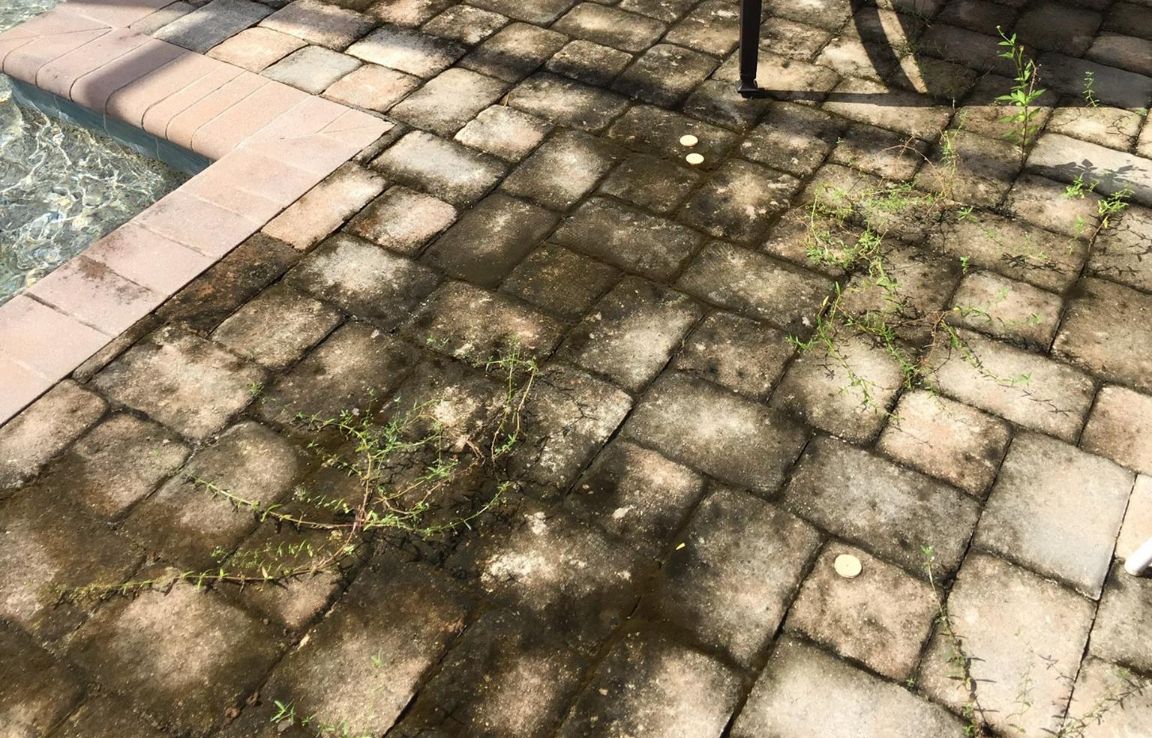 brick paver cleaning and sealing naples fl 13 1